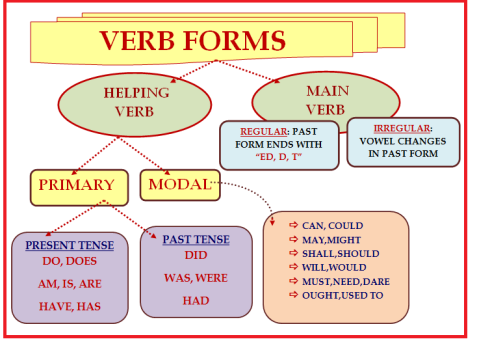 23 helping verbs list